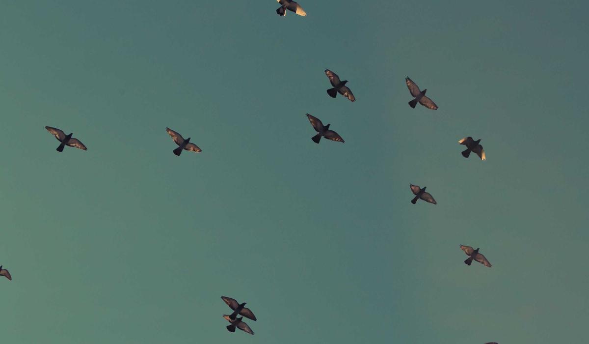 Questions and answers about building a simple archive